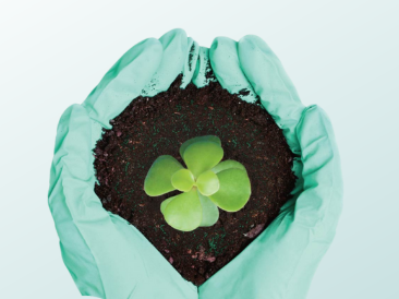 KINGFA Biodegradable Nitrile Gloves: Eco-friendly and Superior Performance